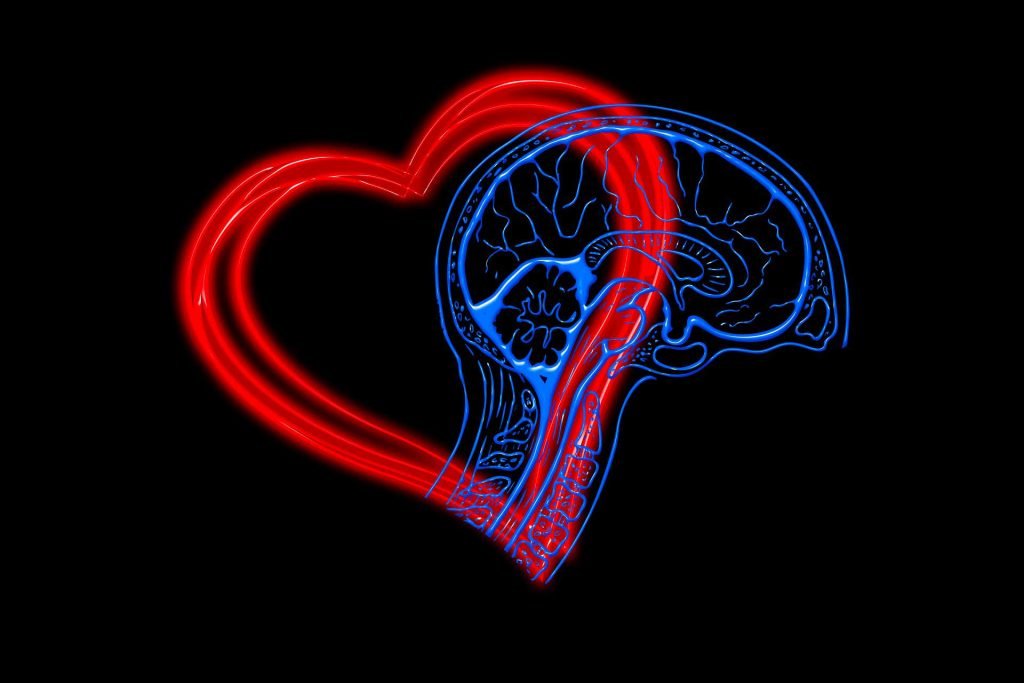 empatia e intelligenza emotiva