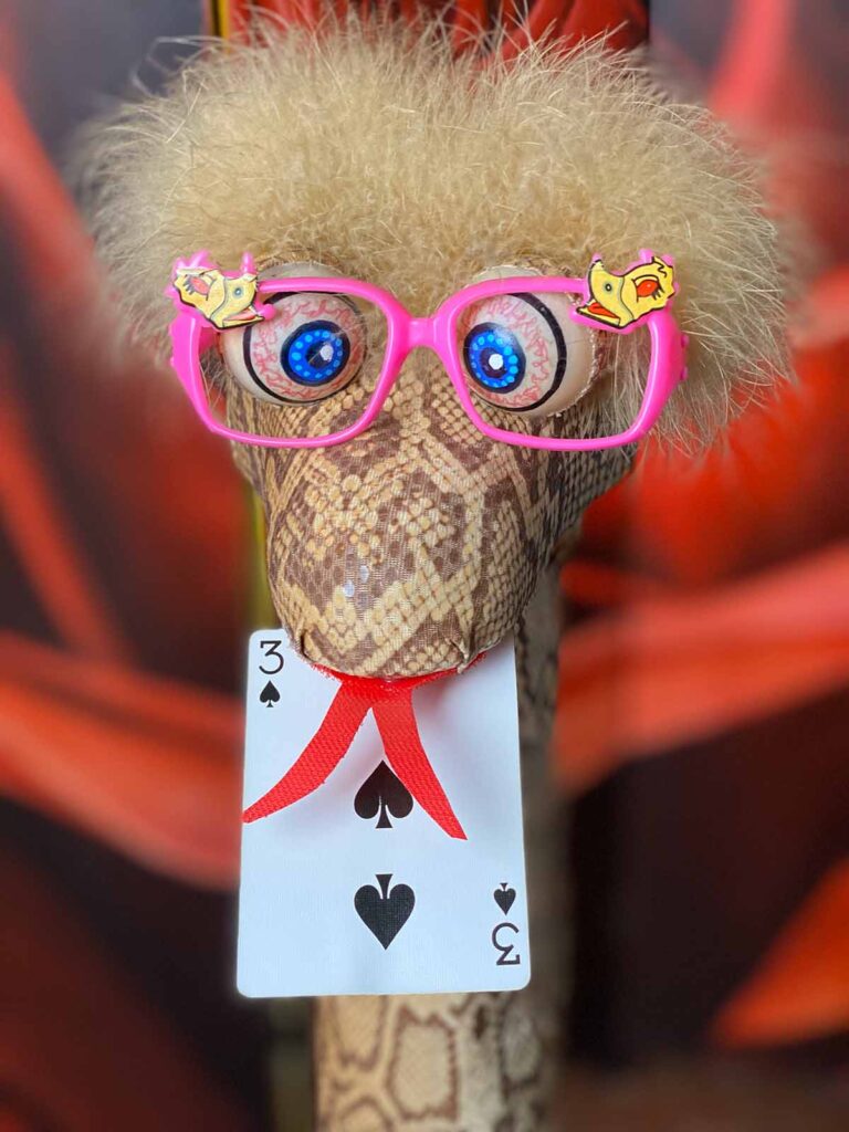 Comedy Snake Basket Illusion