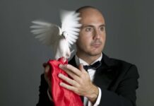 Newspaper Take Apart Vanish - Usato