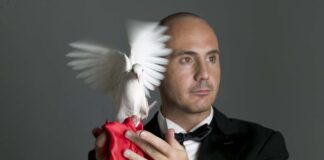 Newspaper Take Apart Vanish - Usato