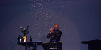 sgabello della nevicata vendita usato